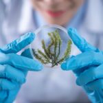Healthcare Trends in 2025: Innovations Shaping the Future