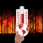 Climate Adaptation vs. Mitigation