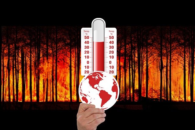 Climate Adaptation vs. Mitigation