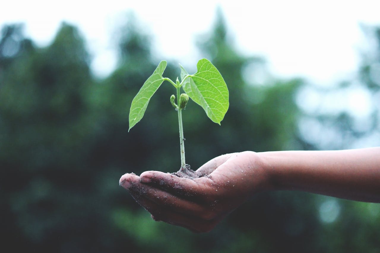 The Future of ESG Investing in 2025