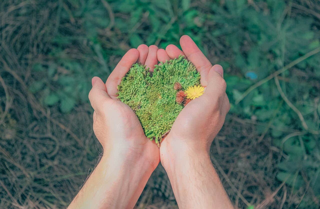 Why ESG Matters for Long-Term Growth